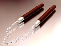 Nunchaku 3d model