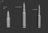 Bullets