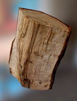 Woden Log low poly realistic