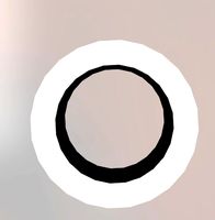 roue porte lateral