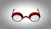 Glasses