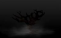 Creepy tree driftwood 4
