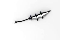 yugioh-dark paladin sword