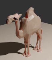 Camel