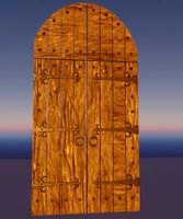 Medieval wood door