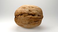 walnut