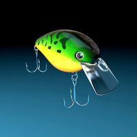 Fishing Lure