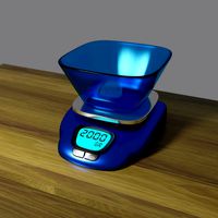 Digital Weight Scale