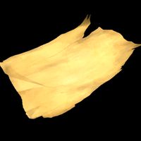 Ancient Paper