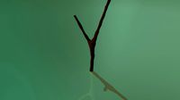branch