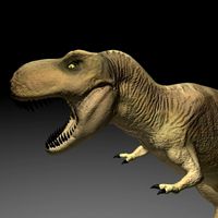 Trex-model.3DS