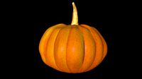 Pumpkin