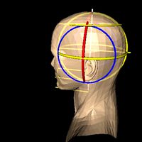 Male Head 01 X1 c4d