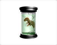 dinosaur embryo