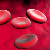 Blood Cells