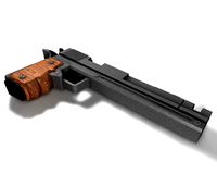 Custom Gun