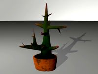 cactus plant