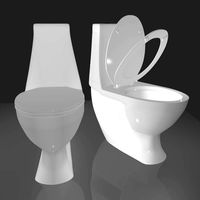 Flush toilet-002