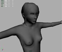 Female body