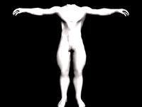 bodylowmusclebound smaller