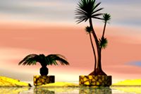 Two Tropical Palms in Pots