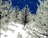 Forest Scene + Pine Tree