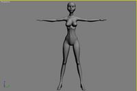 Female Body