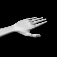 Human Hand Model (All Quads, Low Poly)