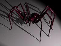 Spider