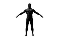 Human male model