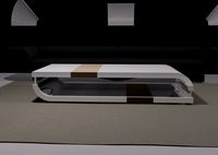 Sleek Coffee Table