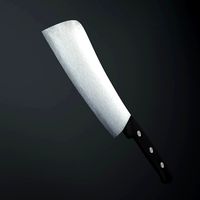 Knife