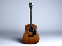 Acoustic Guitar