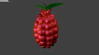 Grenade Fruit