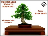Photorealistic potted Bonsai Tree