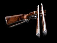 Shotgun Falkon