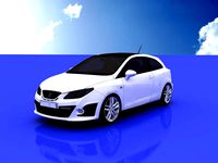 Seat Ibiza Cupra 2009