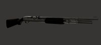Shotgun