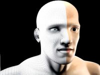 human head model