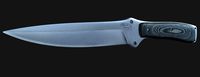 Combat Knife