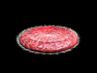Blood Cell