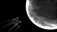 Sperm