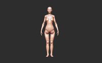 Articulated doll