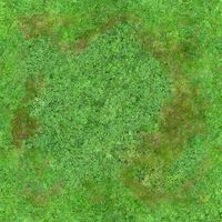Seamless 2048X2048 Aerial Forest Type B 3D Model