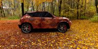 Nissan Juke Vehicle