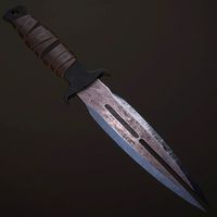 Knife Combat