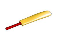 Cartoon Cricket Bat.xsi