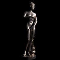 Venus De Medici