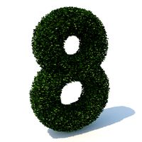hedge 8