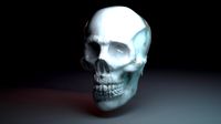 Skull